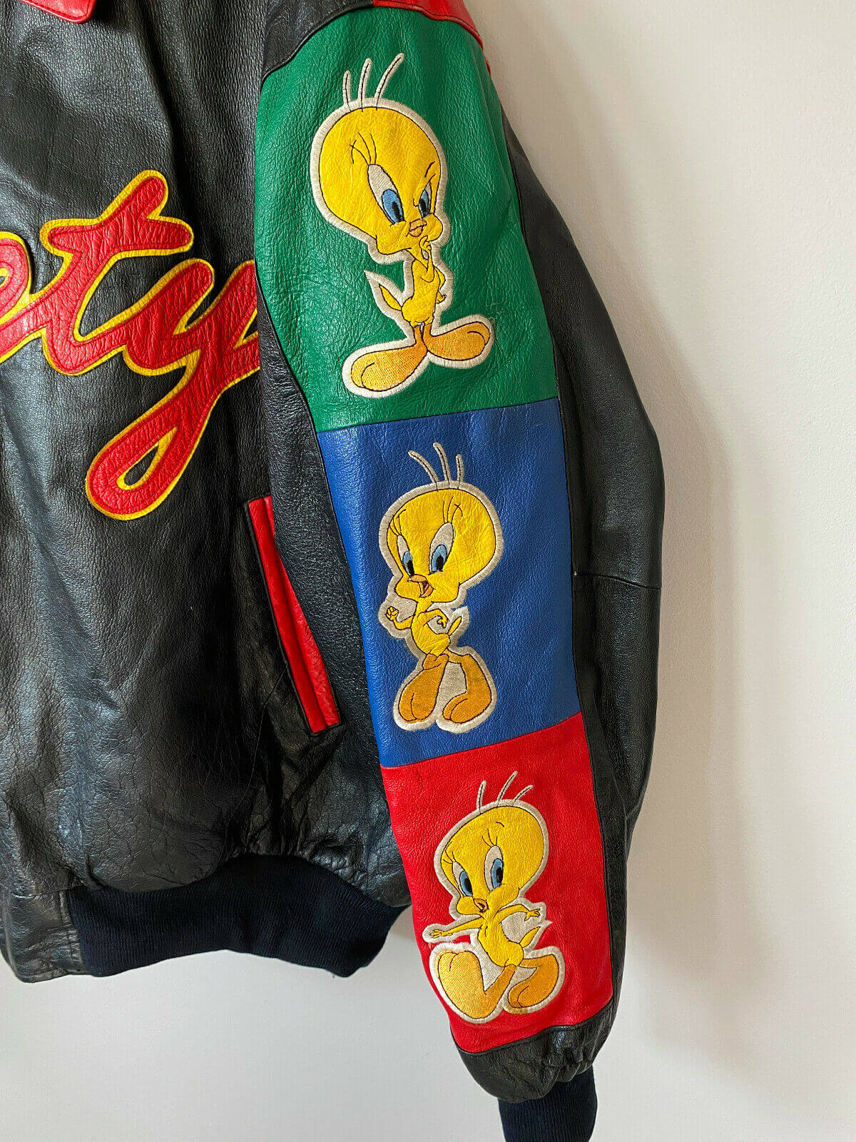 tweety bird hoodie jacket
